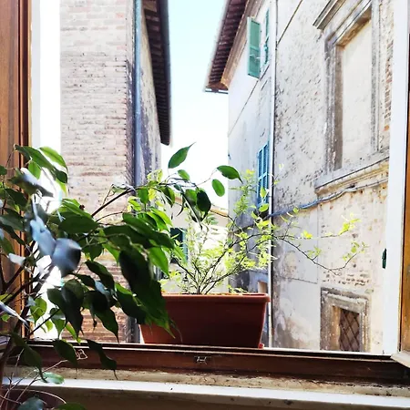 Enci Chianciano Terme